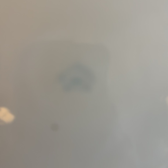 Antique Nippon Hand Painted Plate - Picture 5 of 11